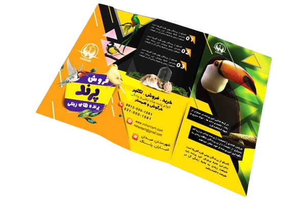 footer main image